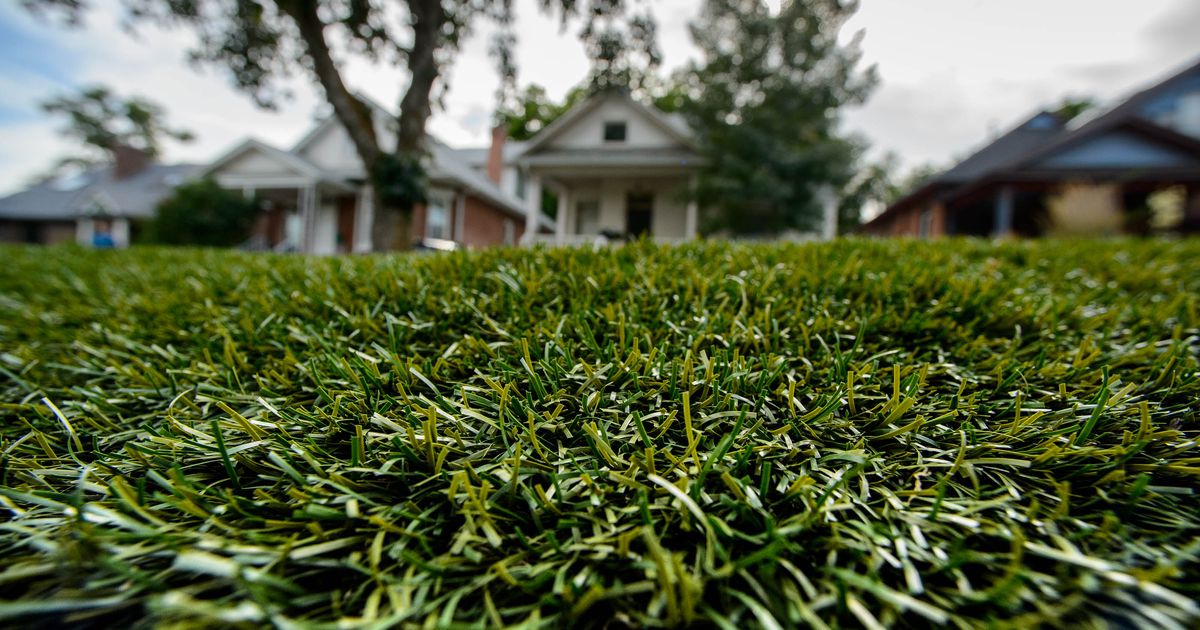 Salt Lake City should revisit its ban on artificial grass and give some leniency to property owners