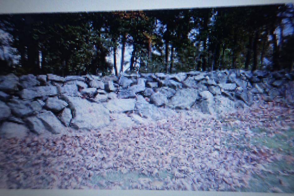 Bear's Den residents seek protection for historic stone walls | Winchester Star