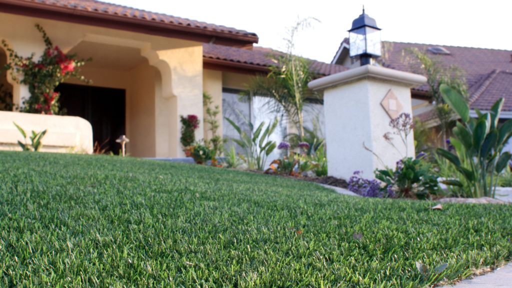 Is Artificial Grass Right for Your Yard? 5 Factors to Consider