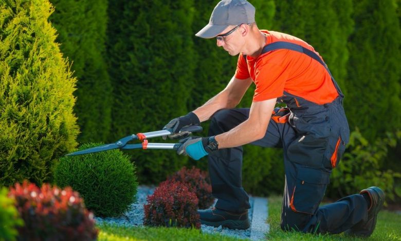 Massive Growth Seen in Landscaping Gardening Services Market 2021-2027 Qualitative Report Focusing on Leading Players  : Yellowstone Landscape, Mainscape, TruGreen, Weed Man USA, Marina – KSU