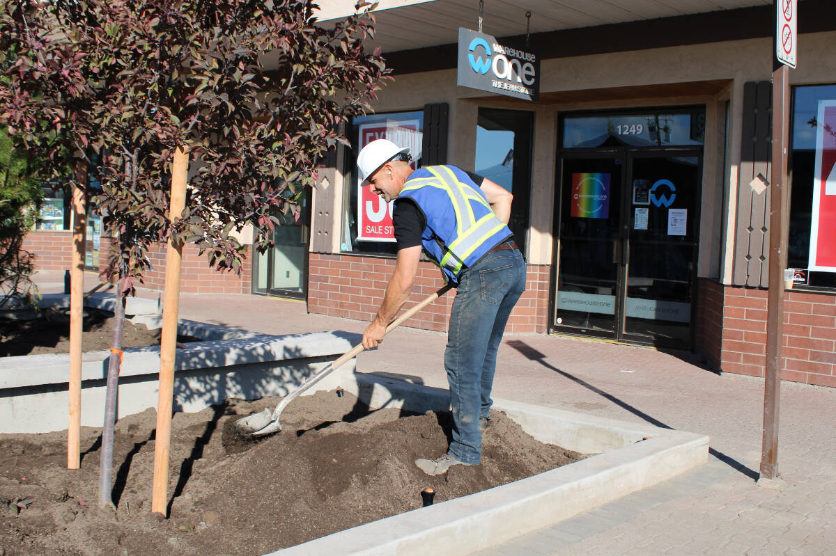 Main Street re-landscaping gets back on track