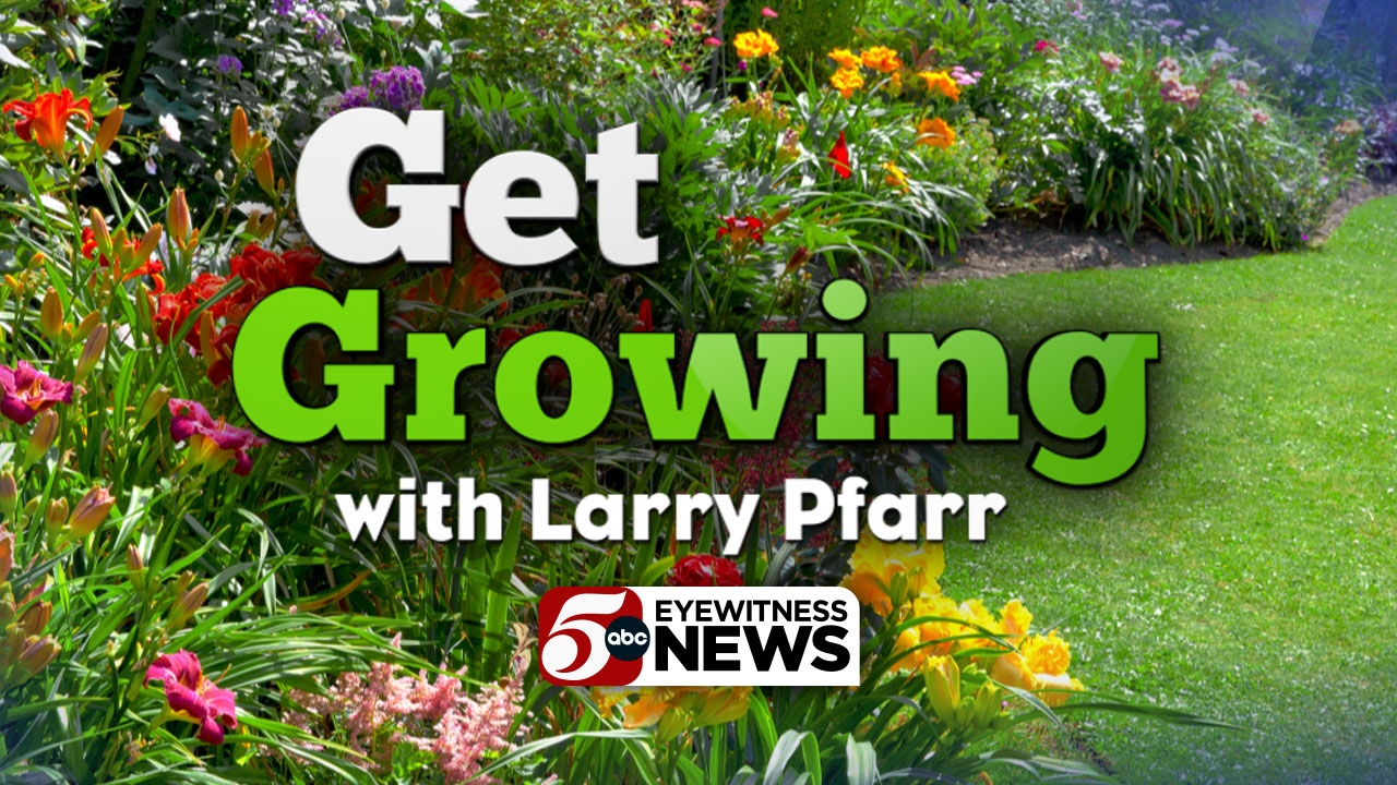 Get Growing: Summer veggie garden tips and year-round landscaping