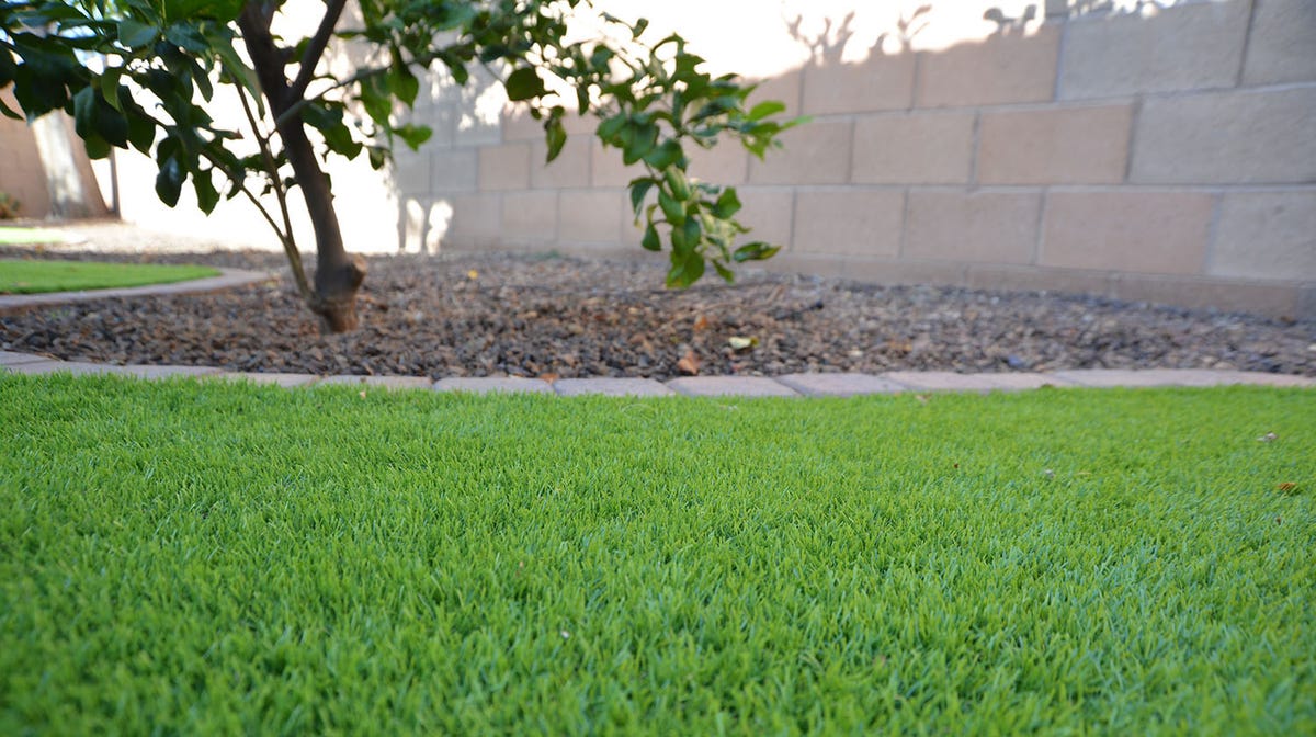Ducey OKs bill to prevent Arizona HOAs from banning artificial grass