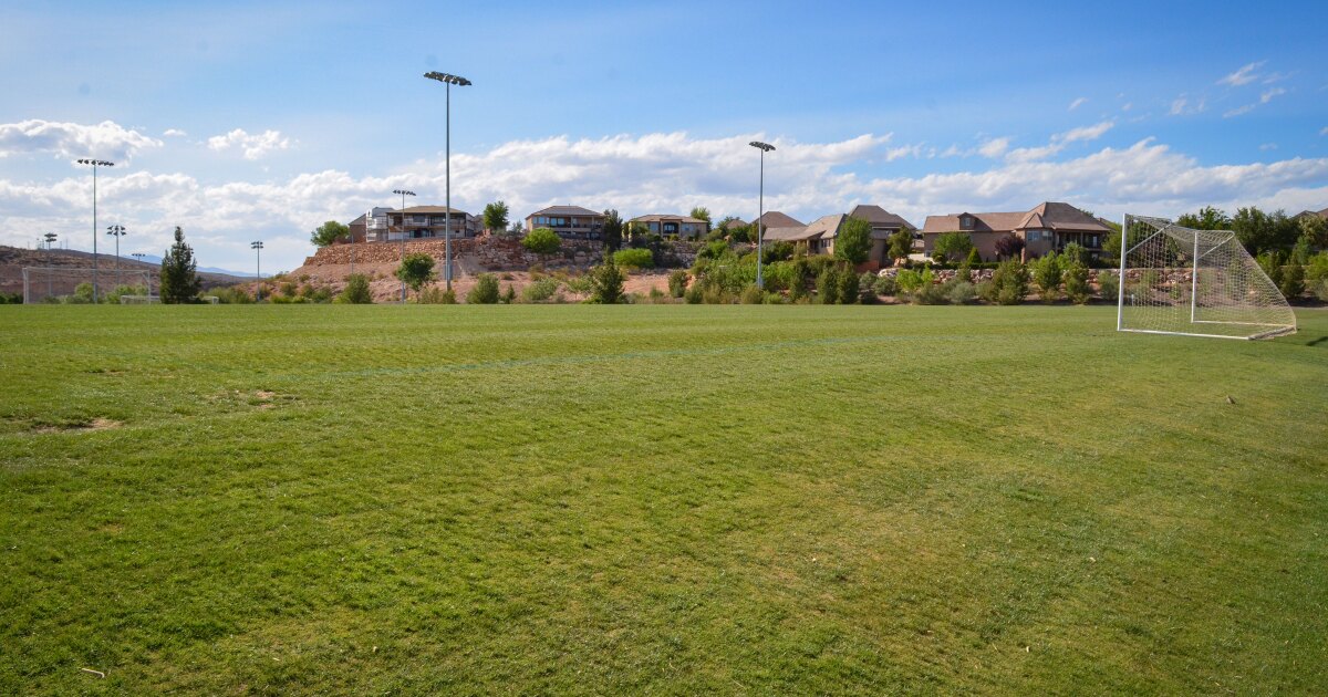 Want to save water outdoors? Some Utahns are looking at artificial grass