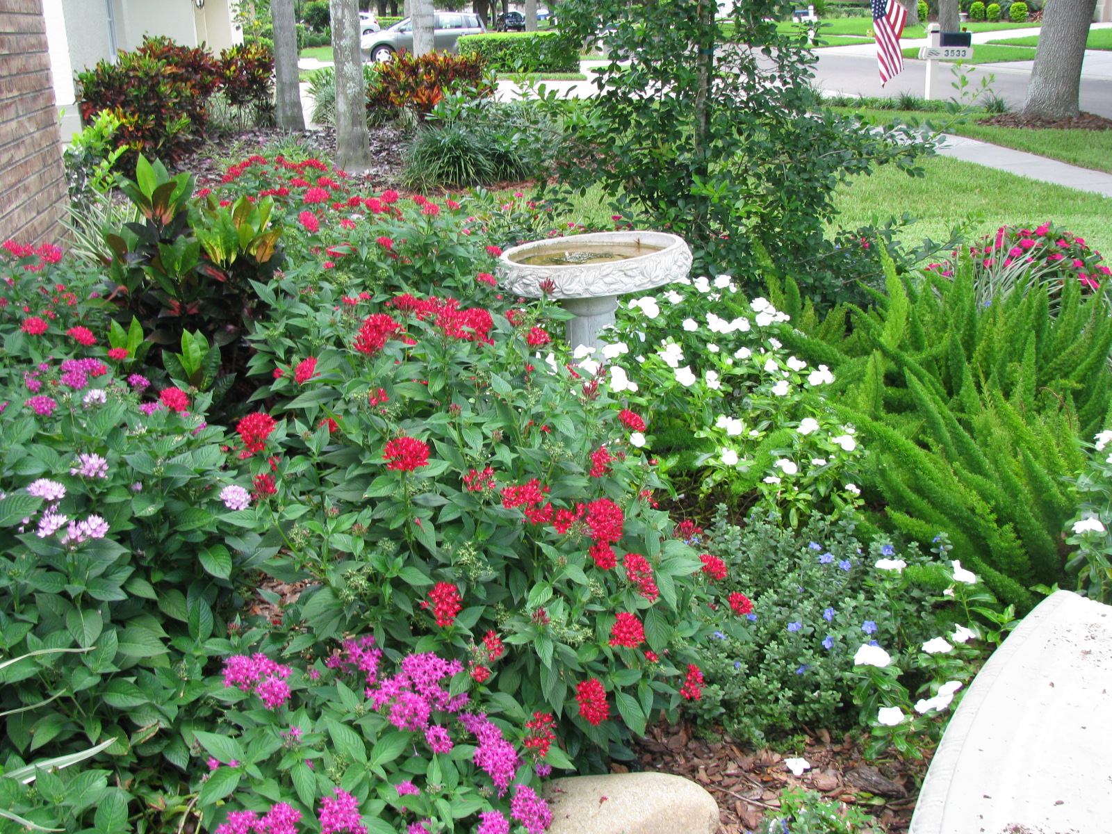 Florida-Friendly Landscaping —sustainable gardening | Osceola News Gazette