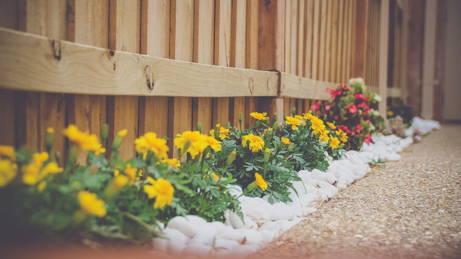 8 Easy Steps for Growing Your Landscaping Business MyrtleBeachSC News