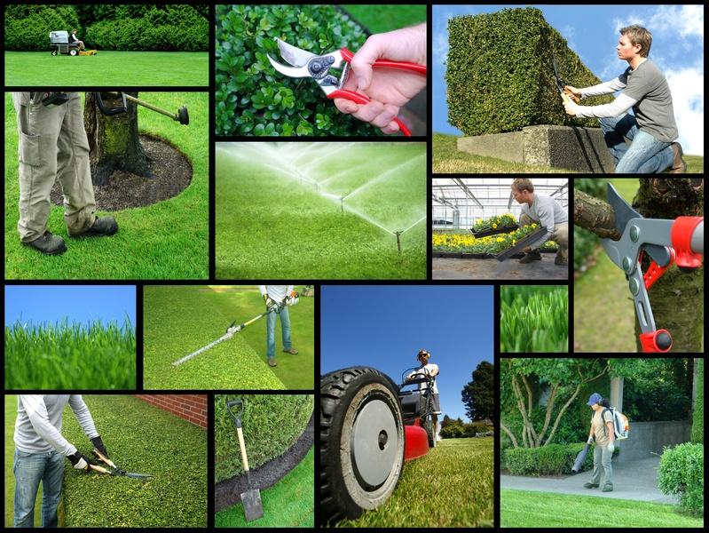 Commercial Landscaping Services Market