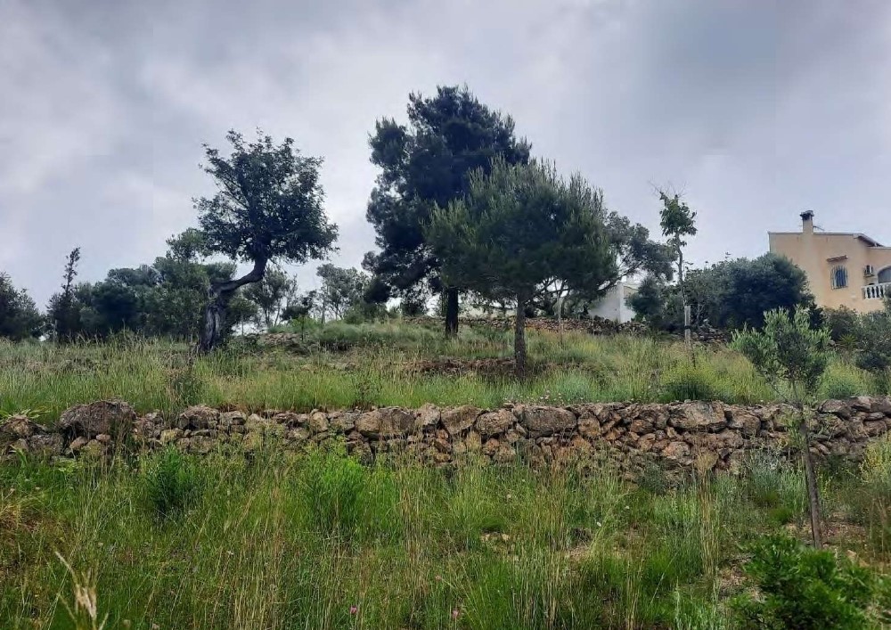 Costa Blanca's Benitatxell to recover dry stone walls to protect cultural and architectural heritage