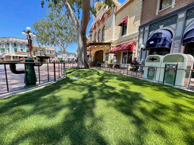 Planters on Main Street, USA feature a barrier of artificial...