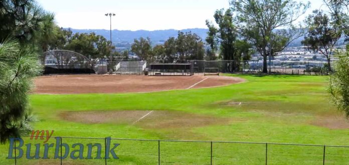 Sustainable Commission to City Council: No on Artificial Turf at Brace Park Fields￼