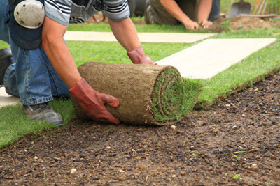 EPS Landscaping & Tree Care Service LLC Is Offering Lawn Care Services In South Florida