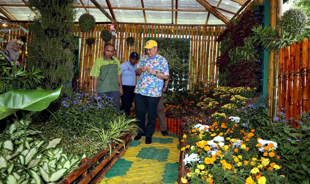 ‘Landscaping, floriculture has potential in Sabah’ | Daily Express Online