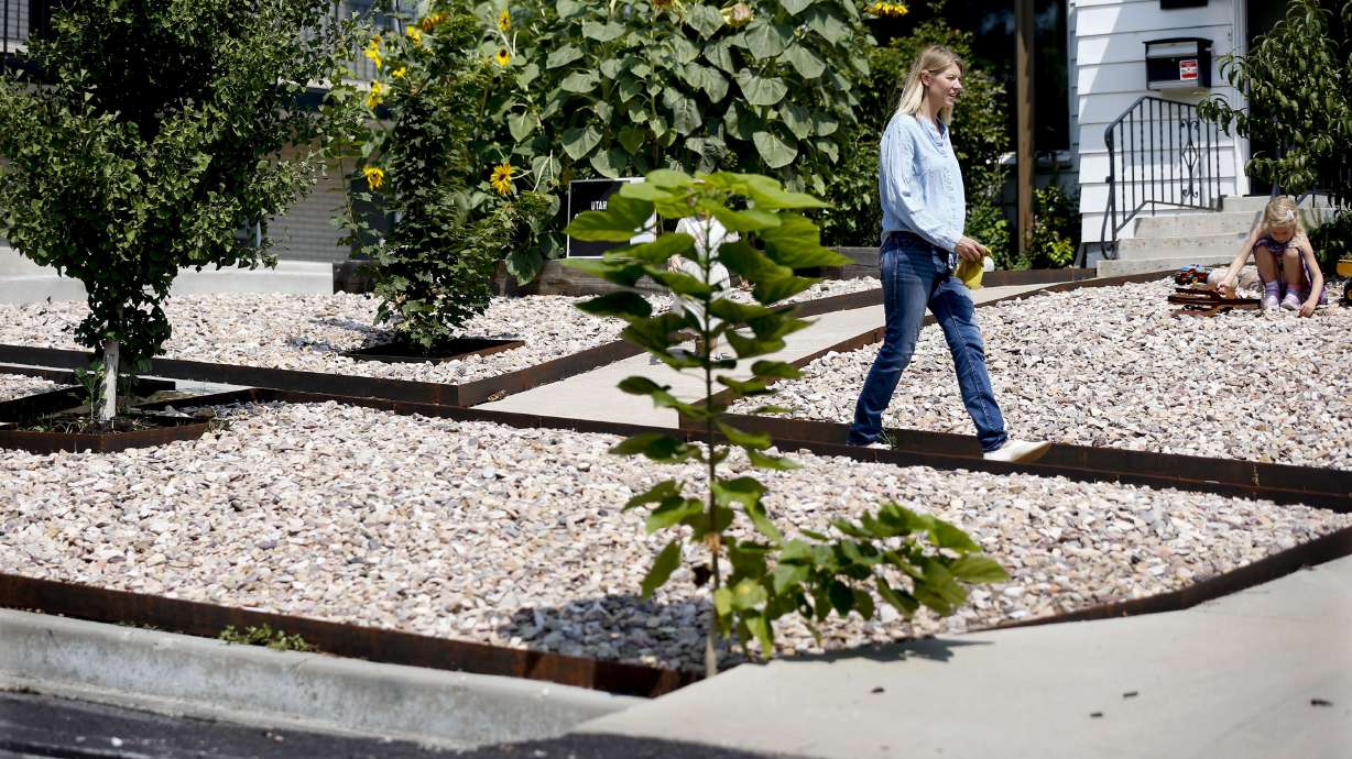 Salt Lake City eyes landscaping regulation changes amid ongoing confusion, drought