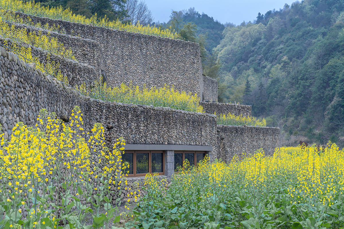 UAD built culture and history museum with terraced stone walls mimicking the site's landform