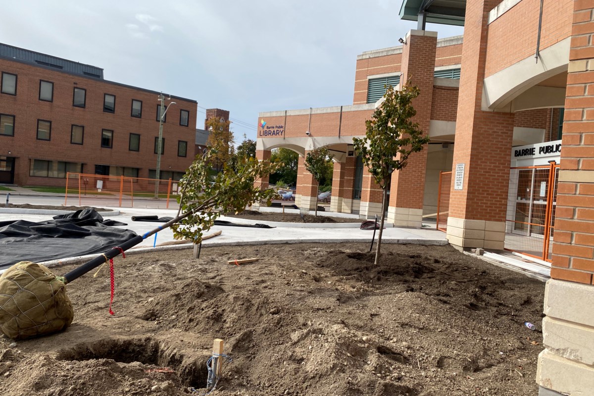 Final phase of library's landscaping project starts next week