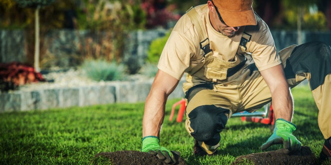 5 Key Areas To Consider When Landscaping Your Garden