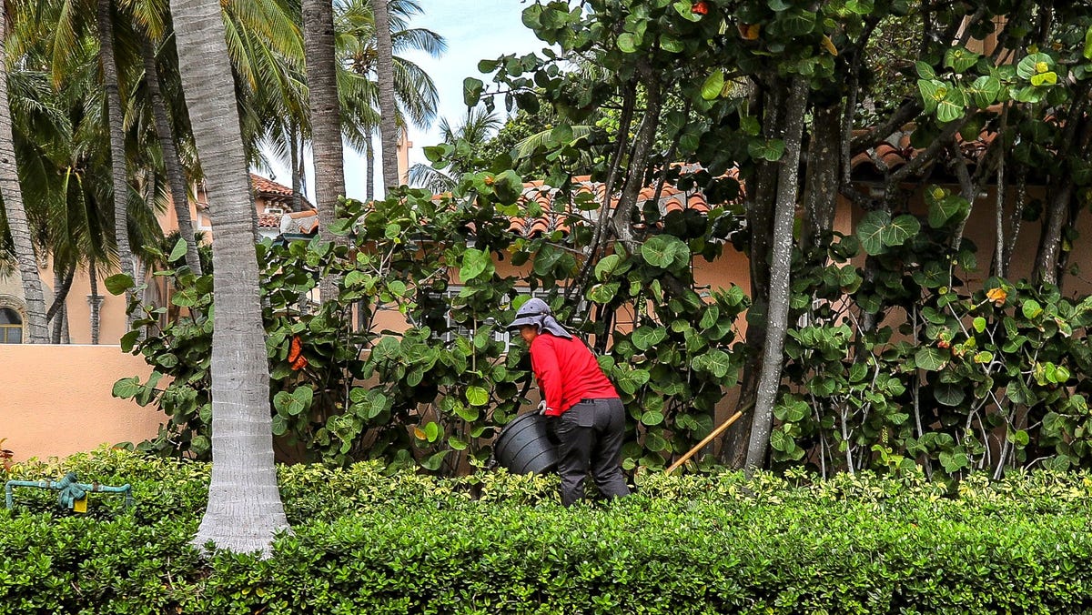 Palm Beach to set limits on construction and landscaping during peak season