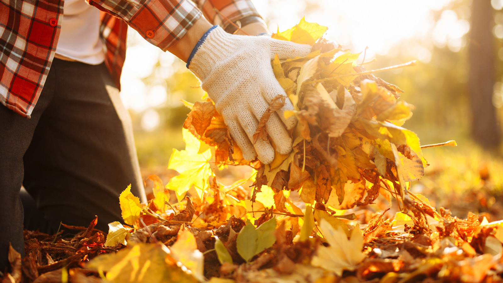 5 Landscaping Mistakes To Avoid This Fall