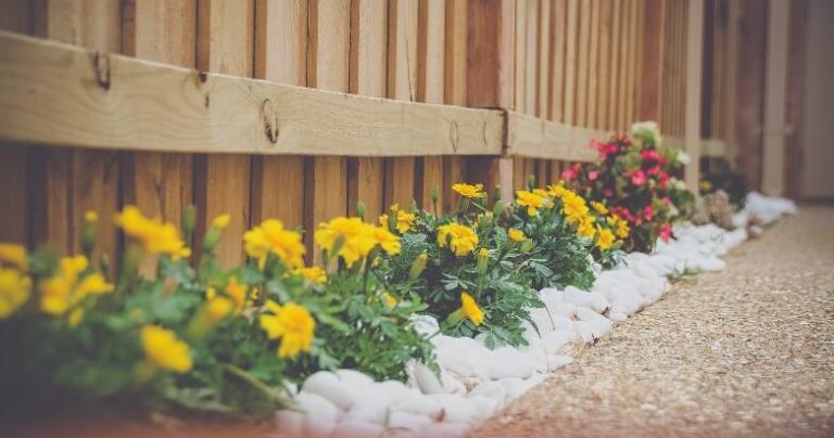 3 Landscaping Tips to Help Beautify Your Church Property