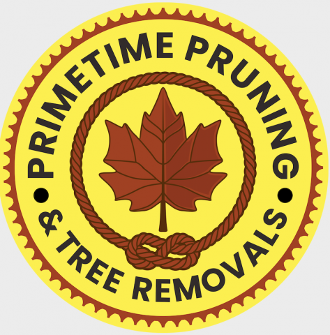 Boise Tree Pruning & Trimming | Arborist Landscaping Services Launched