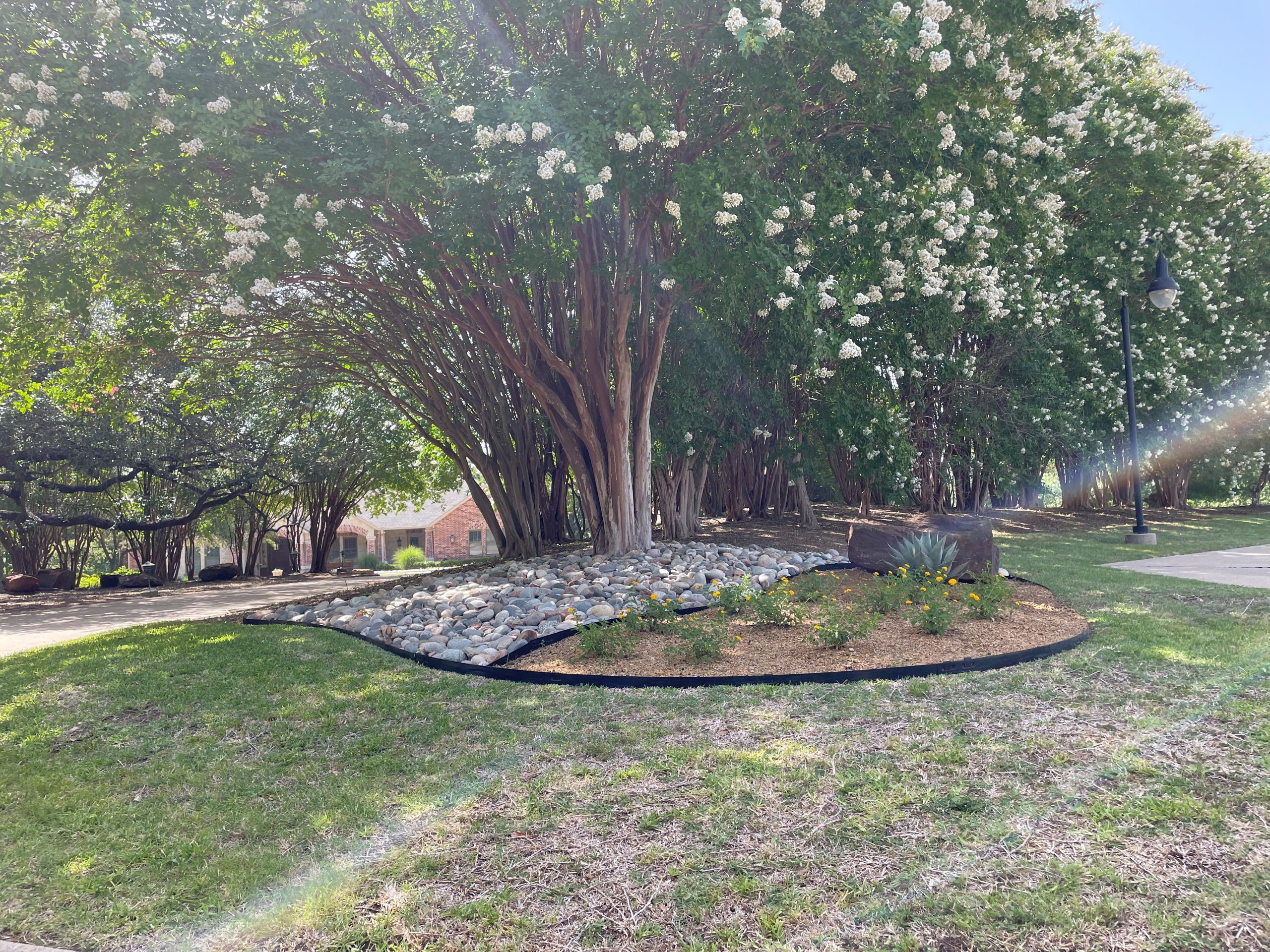 Denton and Dallas campuses receive award for landscaping -