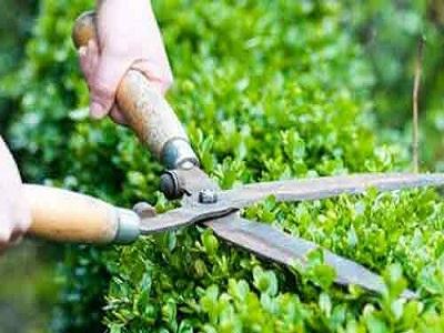 Landscaping and Gardening Services Market