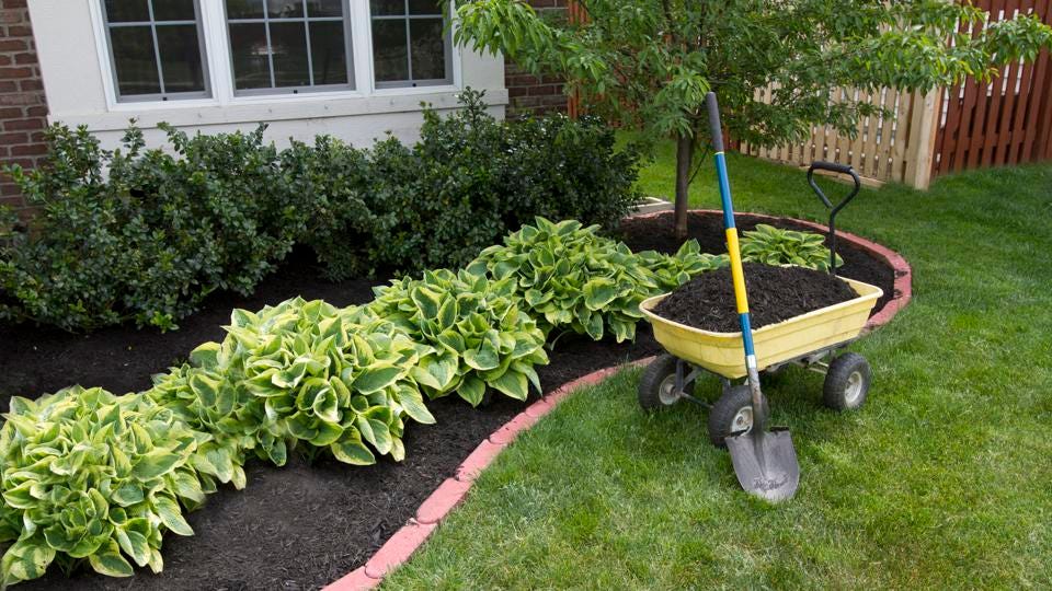 5 Amazingly Cheap Landscaping Ideas When You’re On a Budget – Forbes Home