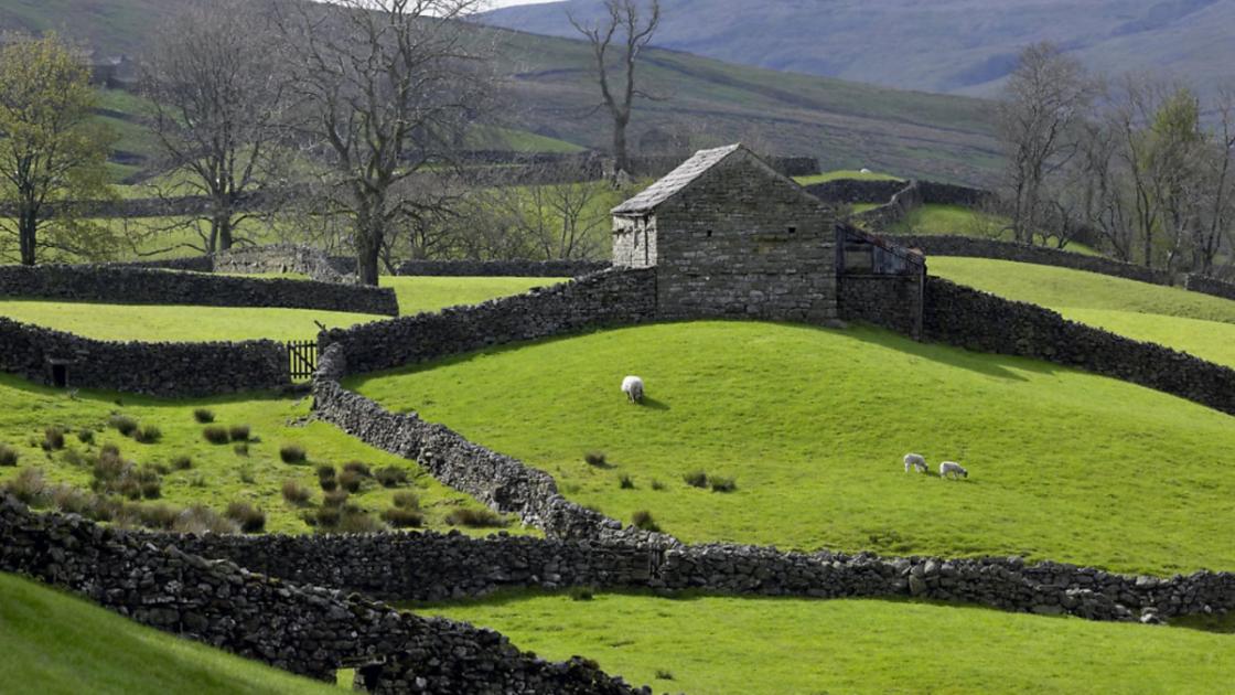 Restoring the dry stone walls of the Yorkshire countryide