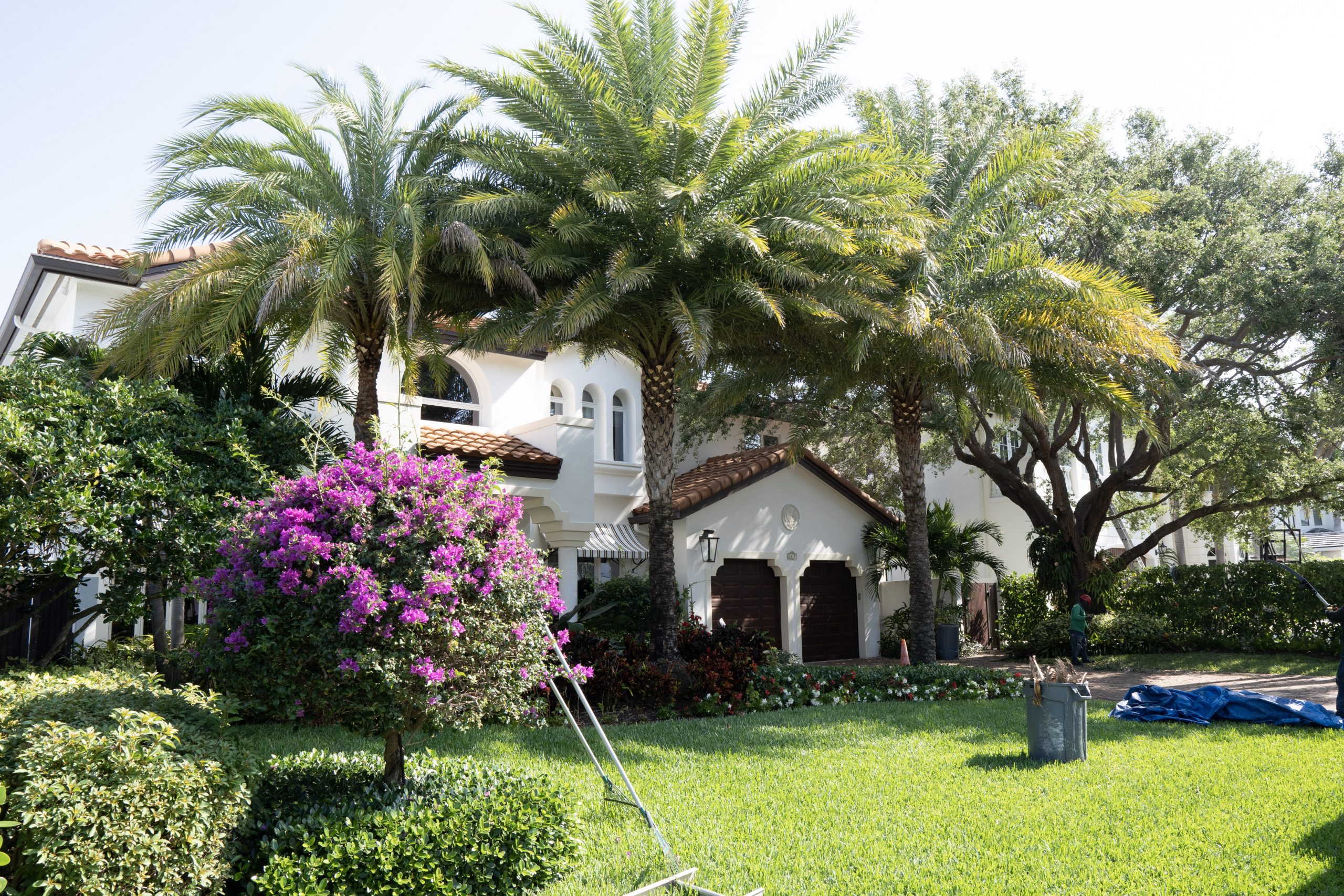 Real Tree Trimming & Landscaping, Inc, a Team of Reliable Tree Service Professionals in Pompano Beach, FL, Offers Free Quotes for each Service