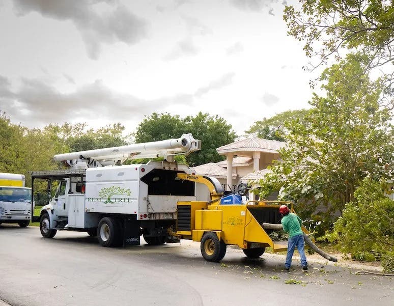 Real Tree Trimming & Landscaping, Inc serves Pompano Beach.