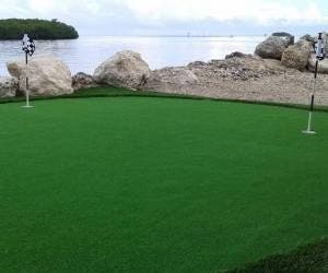Check out Artificial Grass Pros of Orlando for artificial turf.